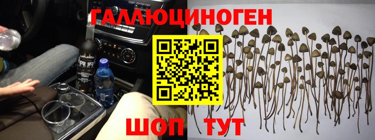 Галлюциногенные грибы мухоморы Верхняя Пышма
